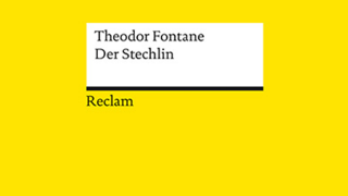 Buchcover, Fontane Der Stechlin