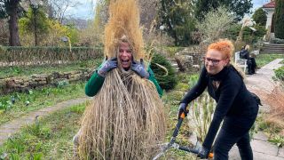 Ulrike Finck lugt lachend durch Schilfbusch, den Kristina Scheller (Chefgärtnerin im Foerster-Garten) mit einer großen Gartenschere beschneiden will (Quelle: rbb)