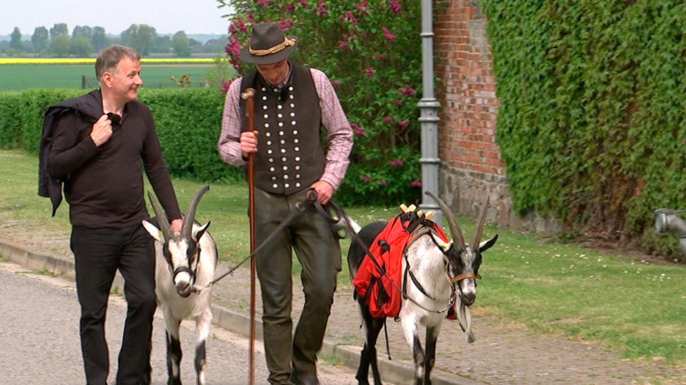 Thomas Rühmann begleitet den Ziegenwanderer Mirko Zimmermann. (Quelle: rbb)