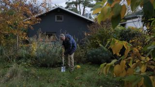 Gartentipps Gartenzeit - Krokuswiese anlegen