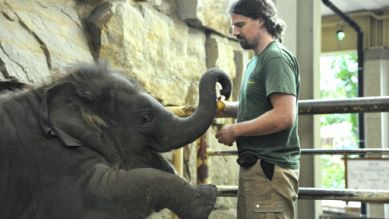 Elefantenkind Dimas mit seinem Pfleger, Foto: Thomas Ernst