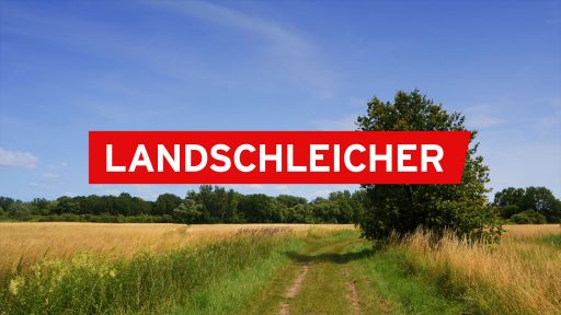Landschleicher_Logo2015.jpg