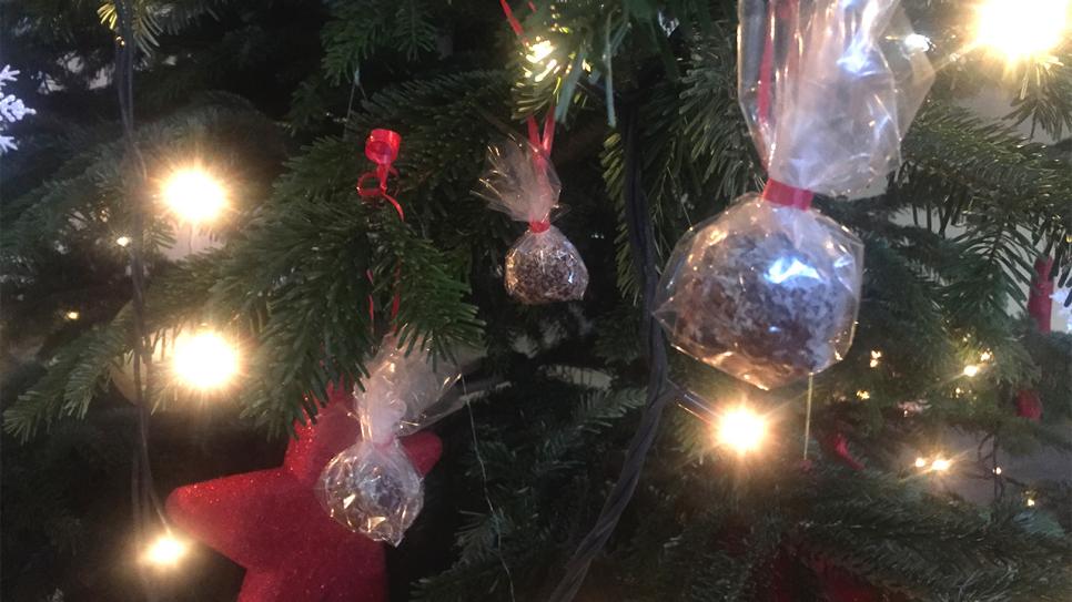 Essbare Weihnachtskugeln hängen am Baum (Bild: rbb/Brettschneider)