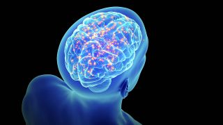 3D-Grafik Nervenaktivität im Gehirn (Bild: imago images/Science Photo Library)