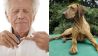 Mann misst Insulinwerte und Therapiehund (Quelle: imago/UIG/Torsten Leukert)