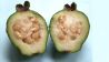 Eine aufgesvchnittene Guave (Quelle: imago/blickwinkel)