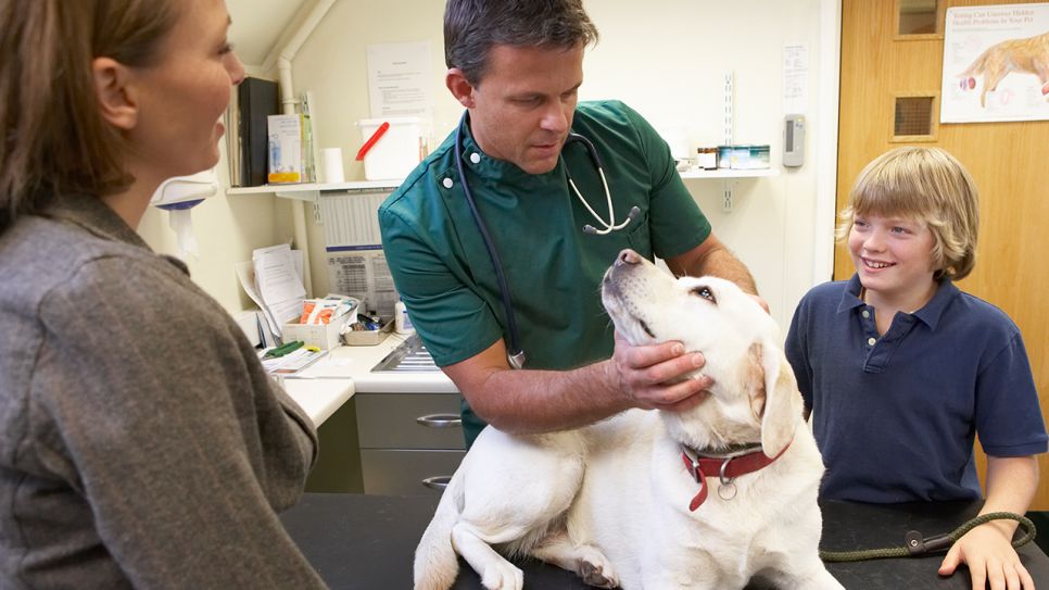 Eine Familie mit ihrem Hund beim Tierarzt (Bild: colourbox)
