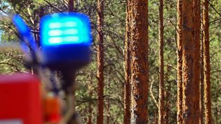 Symbolbild:Das Blaulicht eines Feuerwehrfahrzeuges ist bei einem Brand in einem Kiefernwald zu sehen.(Quelle:picture allaince/P.Pleul)