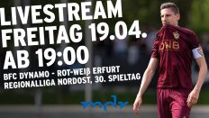 Pretafel Livestream BFC Dynamo Rot-Weiß Erfurt (Quelle: IMAGO / Matthias Koch)