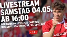Der BFC Dynamo empfängt am 32. Spieltag der Regionalliga Nordost Energie Cottbus. / imago images/Steffen Beyer