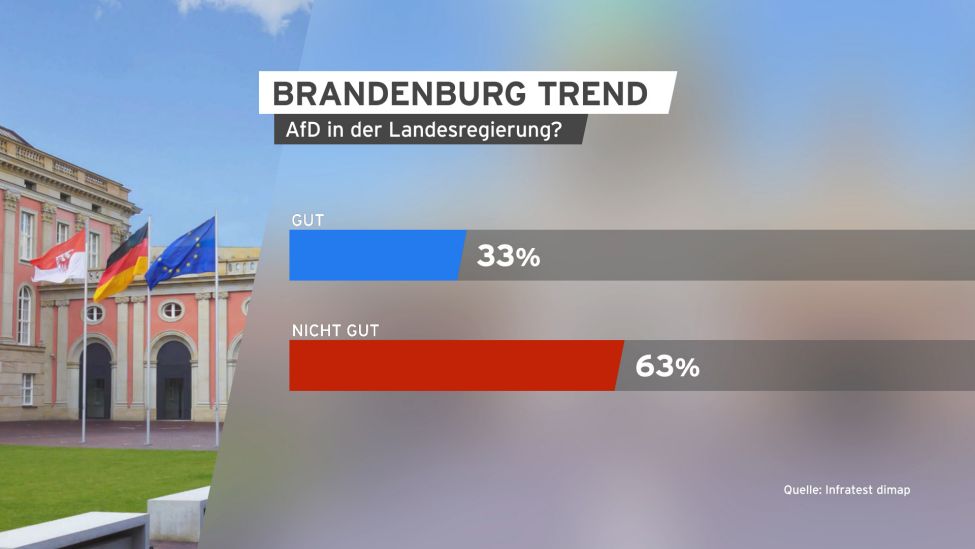 Grafik Brandenburg Trend AFD in der Landesregierung.(Quelle:rbb)