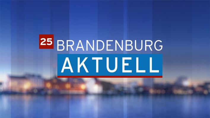 Logo 25 Jahre Brandenburg aktuell