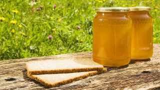 Zwei mit Honig gefüllte Gläser und zwei Brotscheiben stehen auf einer Bank (Quelle: imago-stock)