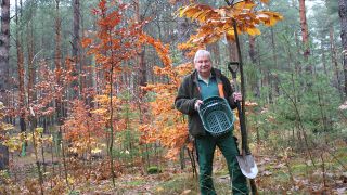 Waldbesitzer Hartmut Hanack setzt (auf) Esskastanien, Bild: Antenne Brandenburg