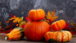 Kürbisse und Herbstblätter, Bild: Colourbox