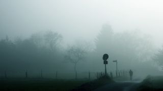 Symbolbild: Psychische Krankheiten. Es ist ein Feld mit Bäumen im Nebel zu sehen und ein paar Straßenschilder und eine Person in der Ferne. (Quelle: imago stock&people)