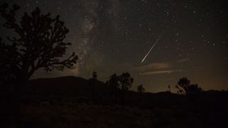 Eine Sternschnuppe aus dem Sternschnuppenstrom der Perseiden erzeugt Ã¼ber der Mojave-WÃ¼ste in den USA einen Streifen am Himmel (Bild: Richard Brian/Las Vegas Review-Journal/AP/dpa) 