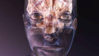 Anmation eines menschlichen Gehirns und dessen Nerven (Bild: imago/CHROMORANGE)