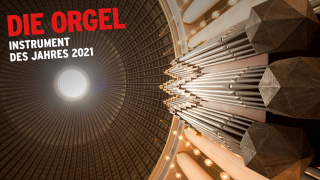 Orgeljahr 2021 – Kuppel und Kirchenorgel der St.-Hedwigs-Kathedrale (Foto: © imago-images/Peter Schickert); Montage: rbbKultur