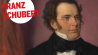 Franz Schubert – Porträt von Wilhelm August Rieder, 1875 (© dpa/Fine Art Images/Heritage Images); Montage: rbbKultur