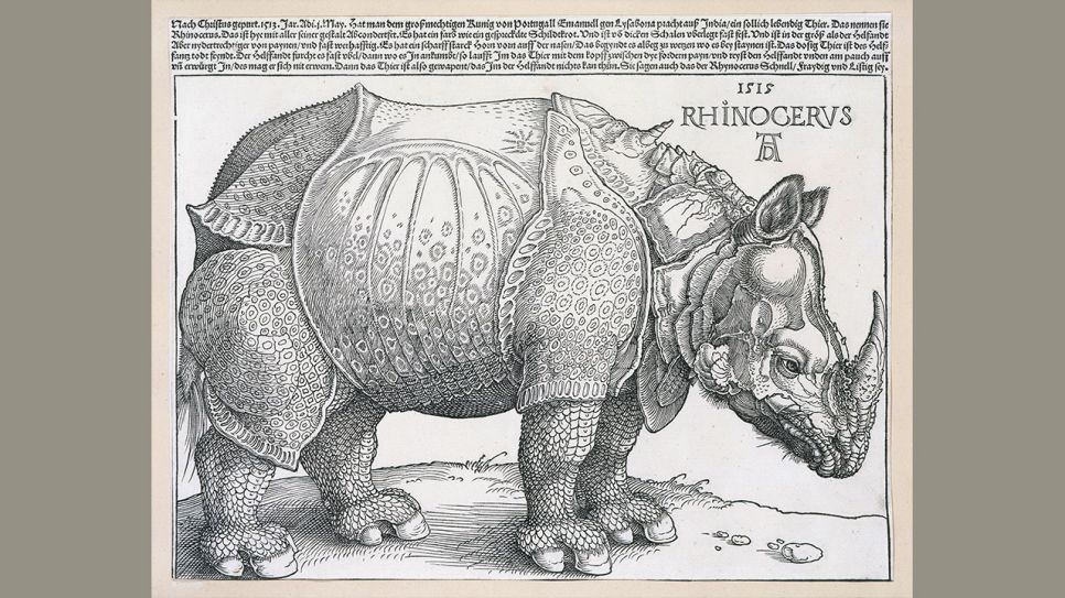 Albrecht Dürer :Das Rhinozeros, 1515, Holzschnitt © Staatliche Museen zu Berlin, Kupferstichkabinett / Jörg P. Anders