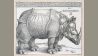 Albrecht Dürer: Das Rhinozeros © Staatliche Museen zu Berlin, Kupferstichkabinett / Jörg P. Anders
