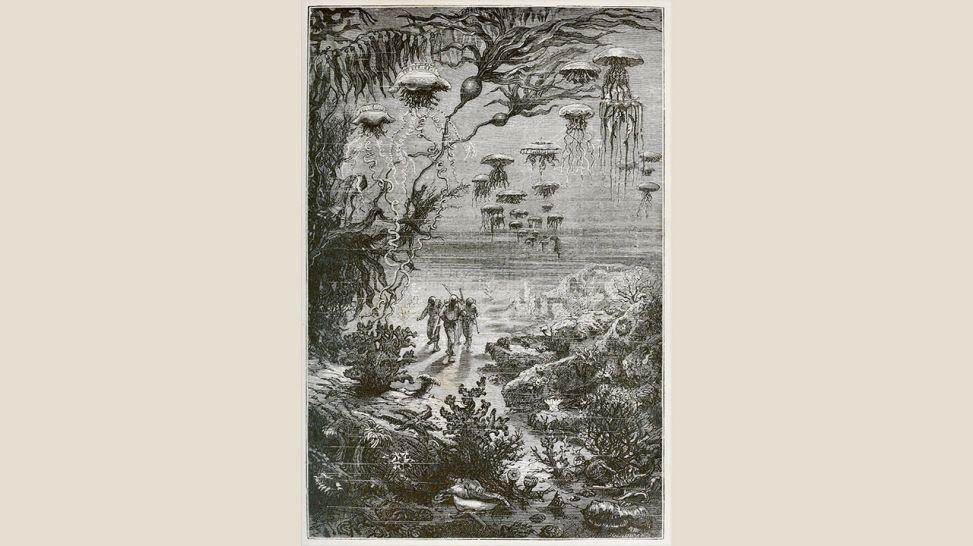 Quallen: Illustration von Alphonse de Neuville © Jules Verne - "20 000 Meilen unter dem Meer", 1869