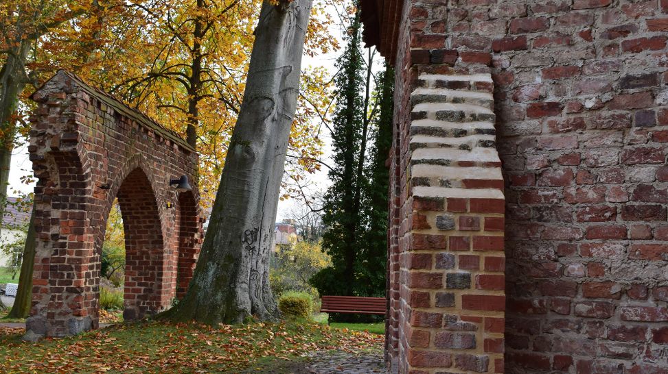 Vergessene Baudenkmale – Torkapelle Kloster Lehnin; © Bernd Dreiocker