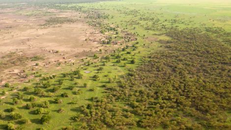 Mit einem Grüngürtel quer durch Afrika gegen die Ausbreitung der Sahara; © Great Green Wall/UNCCD