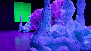 Kunstgewerbemuseum: "Imagine: Coral Reef" - Ausstellungsansicht © EOOS