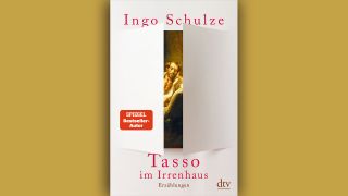 Ingo Schulze: Tasso im Irrenhaus © dtv