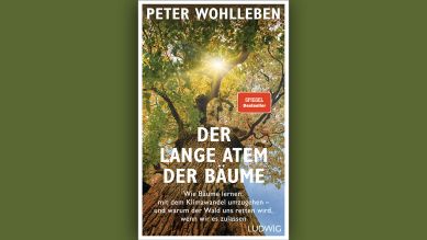 Peter Wohlleben: Der lange Atem der Bäume © Ludwig