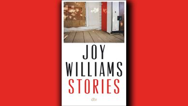 Joy Williams: "Stories" © dtv