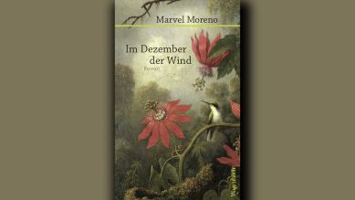 Marvel Moreno: Im Dezember der Wind © Verlag Klaus Wagenbach