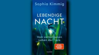 Sophia Kimmig: Lebendige Nacht © Hanser Verlag