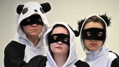 Die Rache der Panda-Pussies © Dietmar Schmitt