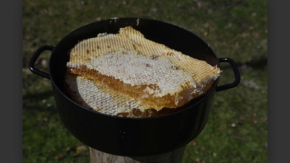Honigwaben mit Honig © Ivan Esenko