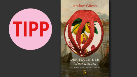 Amitav Ghosh: Der Fluch der Muskatnuss; © Verlag Matthes & Seitz Berlin
