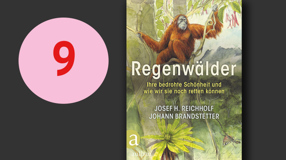 Joseph H. Reichholf: "Regenwälder"; Montage: rbbKultur