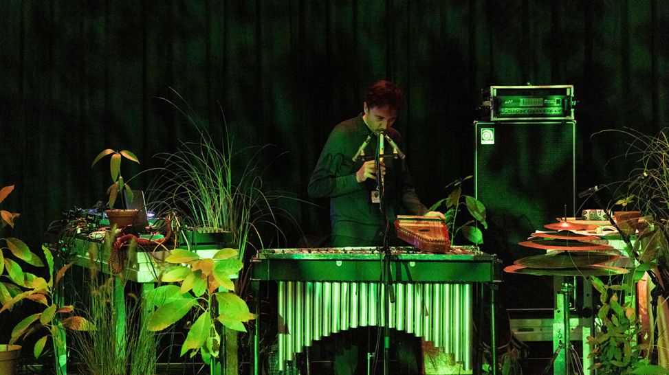 Lawrence: Music for Plants (ICC) © Berliner Festspiele/ Eike Walkenhorst