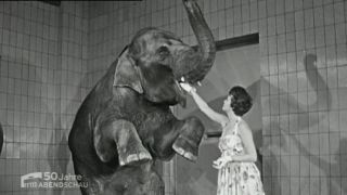 1958 Modenschau am Zoologischen Garten (Quelle: rbb)