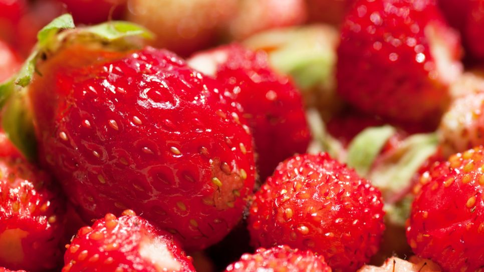 "Erdbeeren"; © COLOURBOX