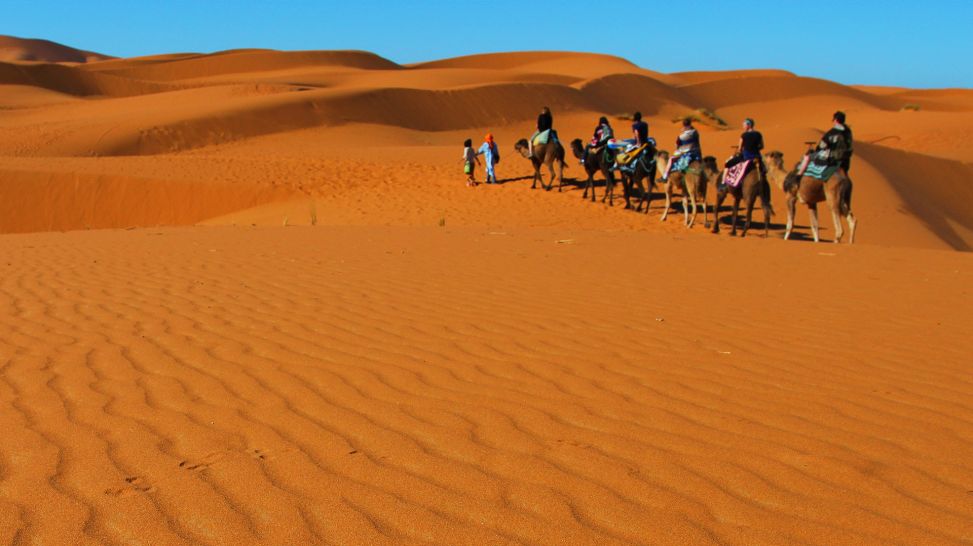 Kamel-Karawane in Wüste (Bild: Colourbox)