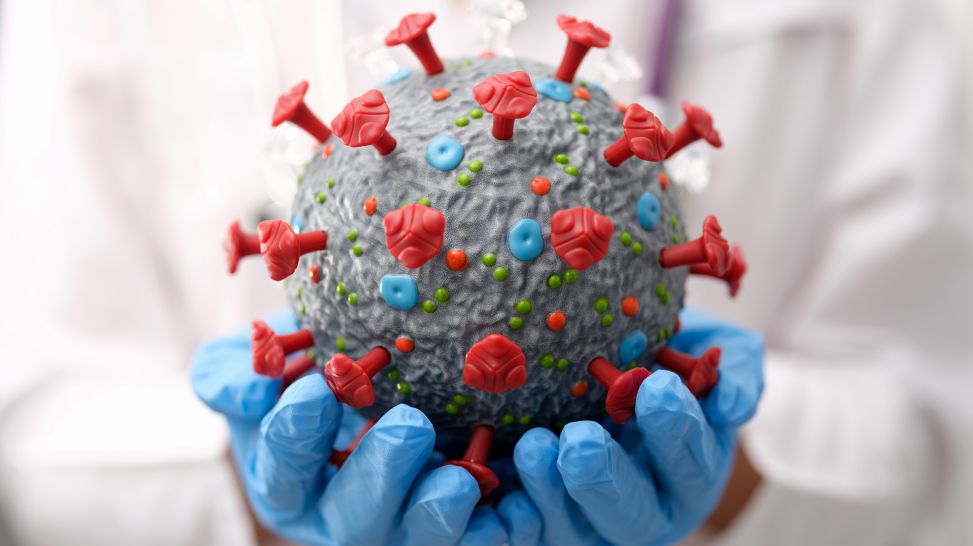 Mediziner hält Model von Coronavirus in den Händen (Bild: Colourbox)