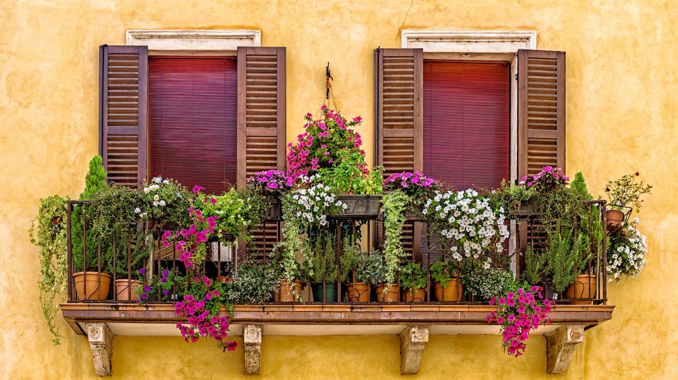 Balkon voller Blumen (Bild: Colourbox/Pawel Grebenkin)