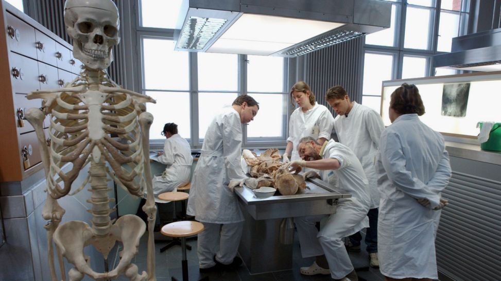 Medizinstudenten der Berliner Humboldt-Universität nehmen am 09.05.2003 an einer Lehrvorführung teil, bei der es um das Sezieren einer Leiche geht. Foto: Siewert Falko/dpa