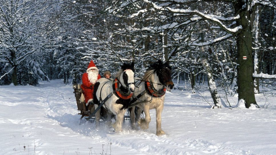 Kutschfahrt mit dem Nikolaus durch den verschneiten Spreewald, Bild: IMAGO Images / fototraube.de