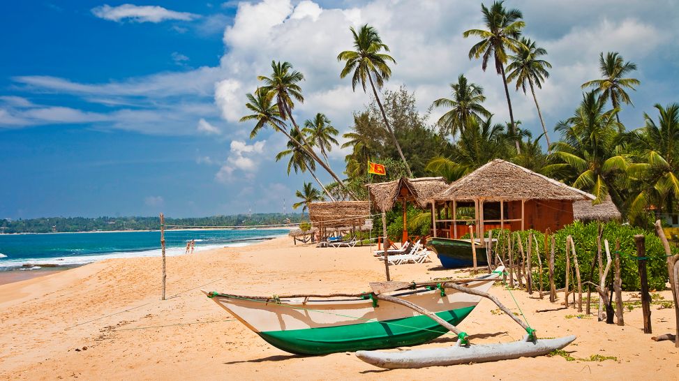 Palmen und Boote an einem Strand in Sri Lanka (Bild Colourbox)