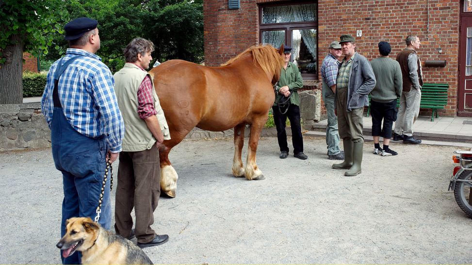 Dr. Rufus Kloppstedt (Veit Stübner) behandelt Menschen und Tiere mit einem Wundermittel. © rbb/NDR/Sandra Hoeve