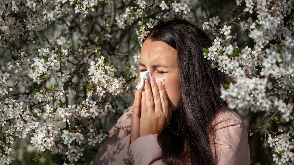 Symbolbild Allergie, Pollen, Heuschnupfen (Bild: Colourbox)